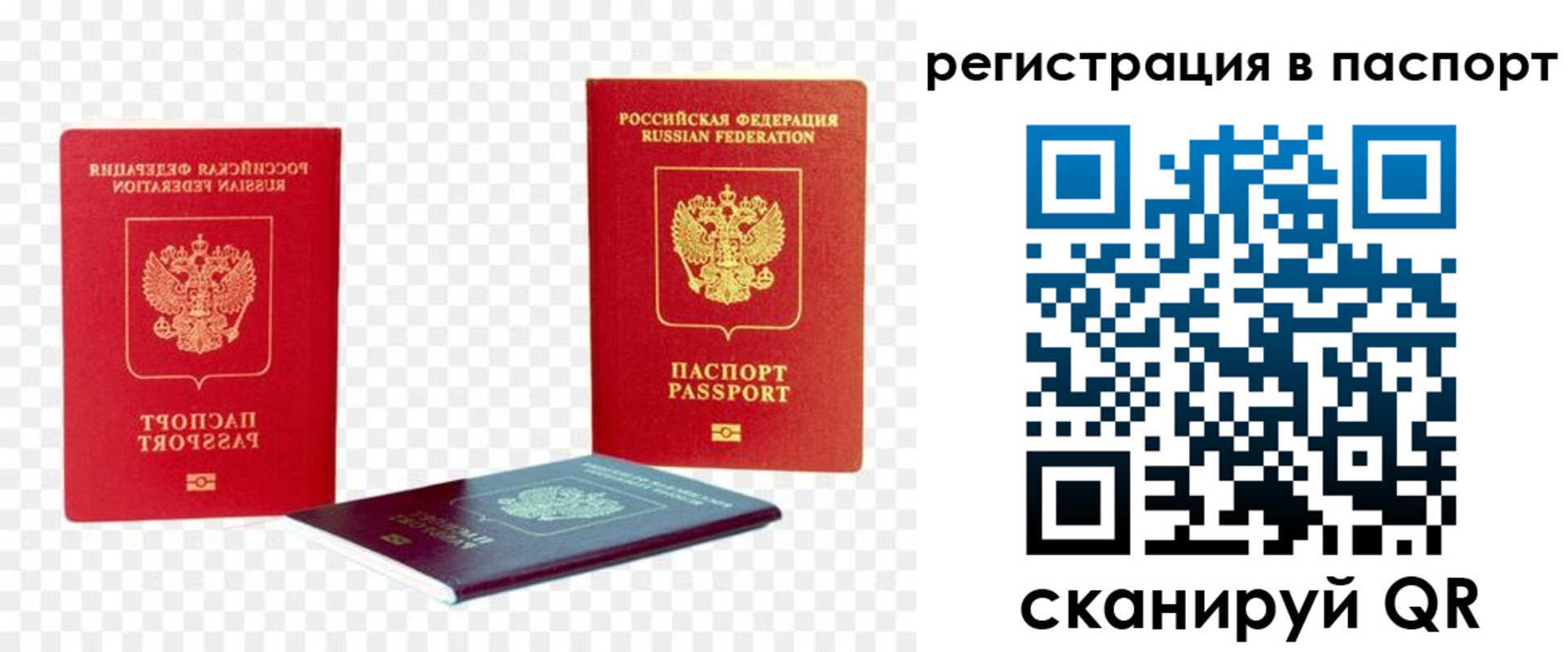 временная регистрация поиск в Александровске